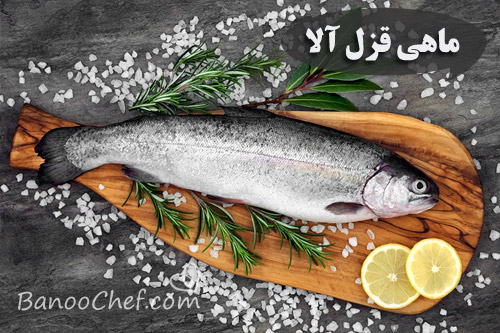 آشنایی با ماهی های شمال